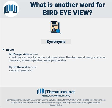 bird's eye view synonym.